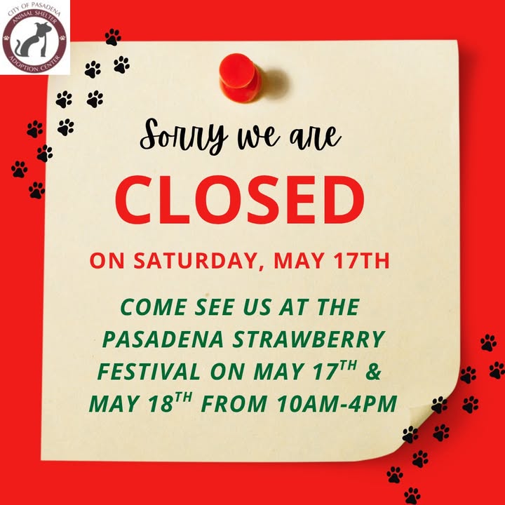 This Saturday, the Animal Shelter team will closed for the Strawberry Festival. So be there or be square and adopt your new best friend to boot.