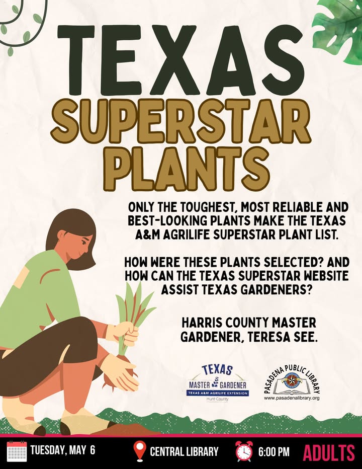 Learn how to transform your yard into a vibrant oasis with Texas Superstar Plants at Central Library.