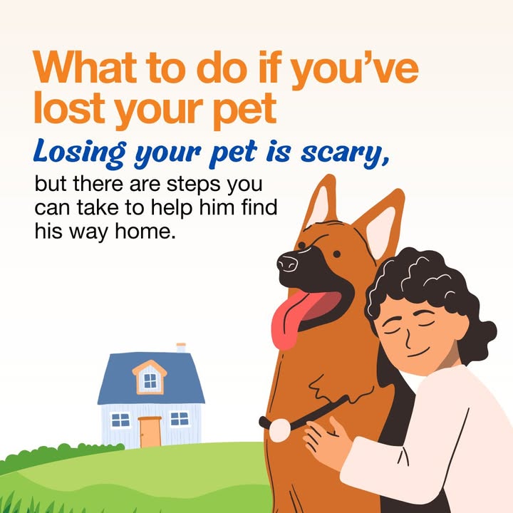 The Animal Shelter is on a mission to help lost pets reunite with their families.