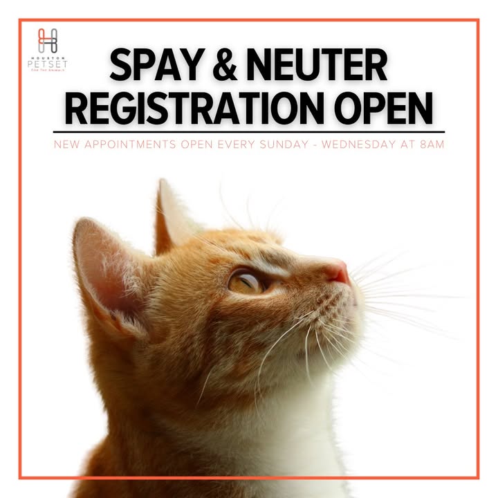 Make your pet’s life happier and healthier by scheduling a spay or neuter appointment today before spots fill up.