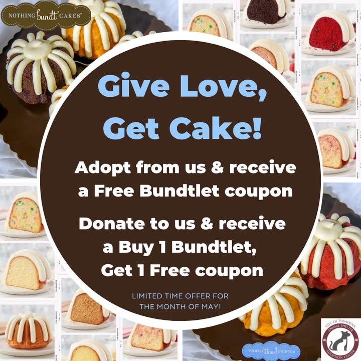 This May, adopt a pet or donate, and enjoy a Bundtlet while helping shelter animals find a forever home.