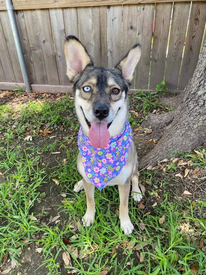 Inmate Rem was saved from the death walk by a bighearted foster home. Here’s what good people have to say about her.