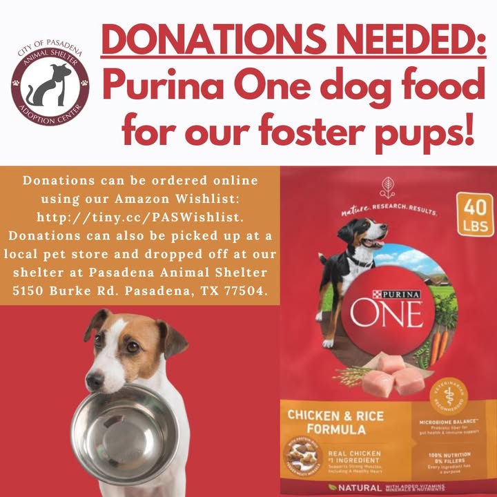 The Animal Shelter’s foster pups sure could use your help with food while they wait for a home.