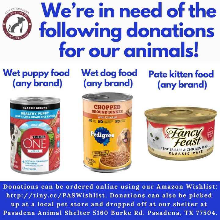 Hook up the Animal Shelter by donating moist puppy and kitten food. Your kindness makes all the difference while they wait for forever homes.
