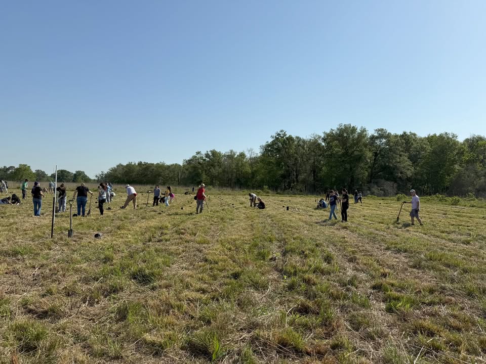 San Jacinto College and Armand Bayou’s amazing volunteers has the prairie thriving and the wildlife celebrating.