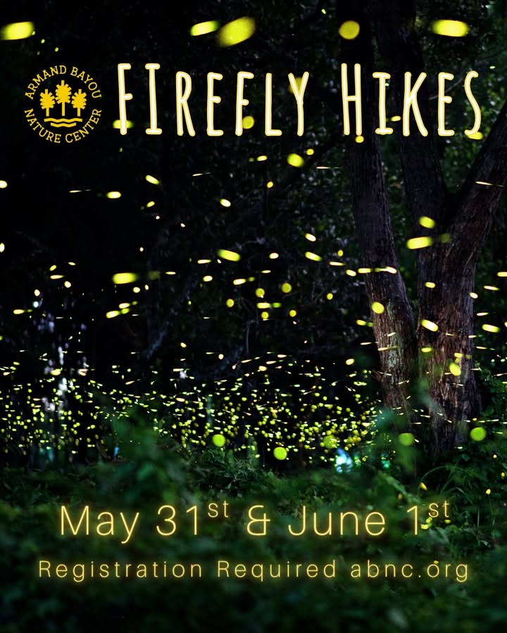 Take a ride to Armand Bayou for enchanting Firefly Hikes to see nature sparkle, illuminating the night. Take a ride to Armand Bayou for enchanting Firefly Hikes to see nature sparkle, illuminating the night.