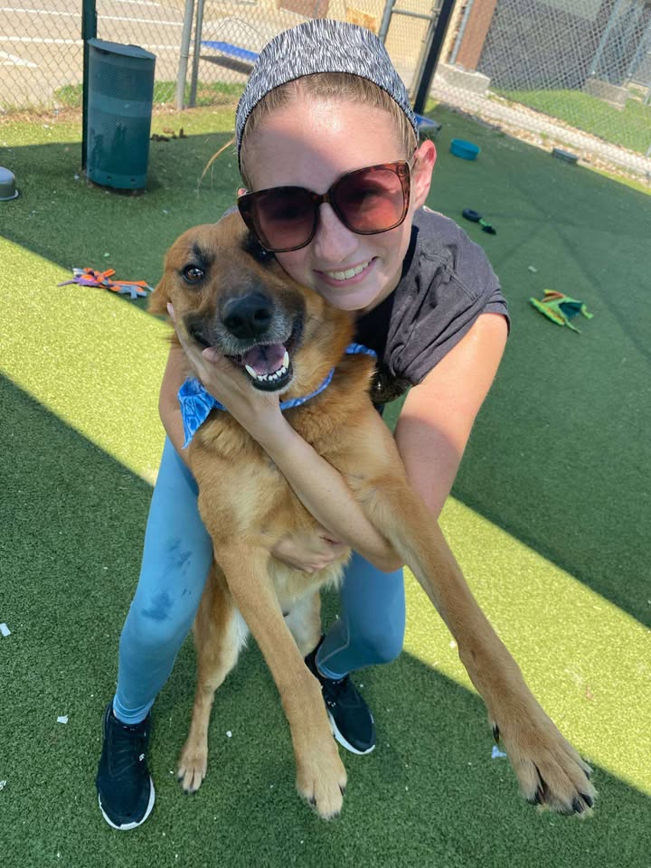 Meet handsome Hashbrown, a charming pup who needs you to adopt him for free and start your forever journey before his execution date.