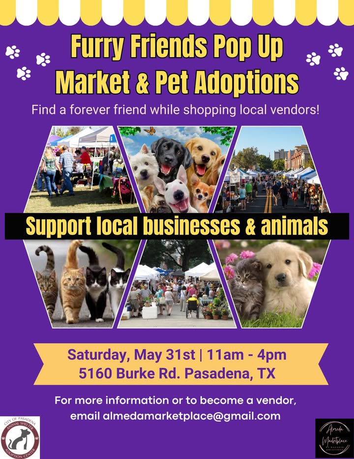 Furry companions at the Animal Shelter’s Pop-Up Market. Adoption fees are only five bucks. Furry companions at the Animal Shelter’s Pop-Up Market. Adoption fees are only five bucks.