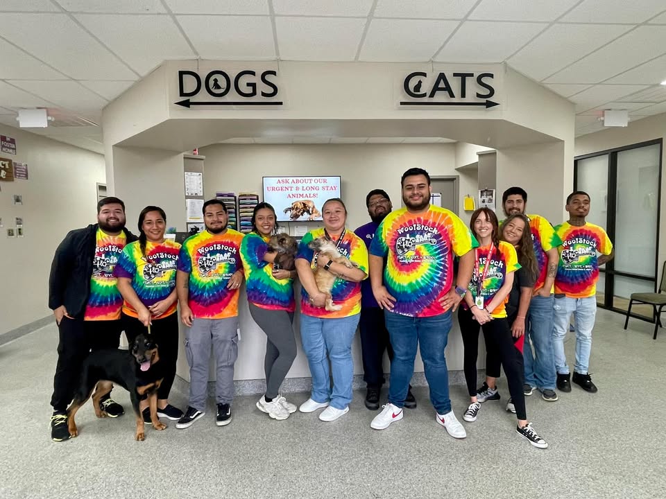 The Animal Shelter is ahving a rainbow of luck, where adopting your forever friend is just and full of love. The Animal Shelter is ahving a rainbow of luck, where adopting your forever friend is just and full of love.