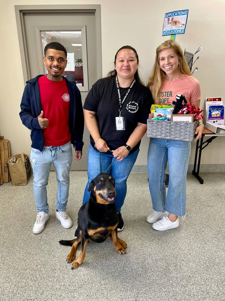 Sweet surprise from Animal Shelter’s friends at Three Little Pitties Rescue making the day brighter. Sweet surprise from Animal Shelter’s friends at Three Little Pitties Rescue making the day brighter.