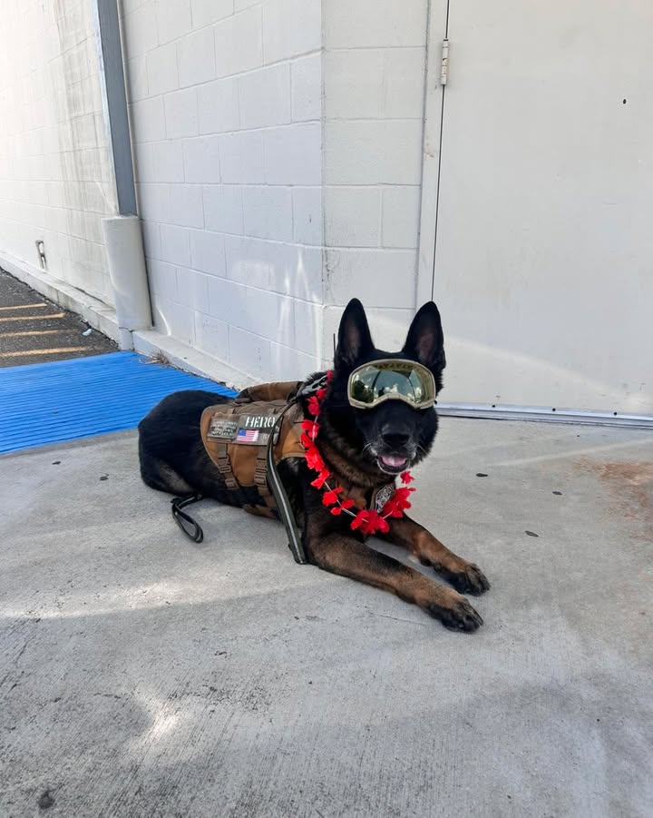 Precinct 2 team working hard to keep the community safe and happy as summer begins. Precinct 2 team working hard to keep the community safe and happy as summer begins.