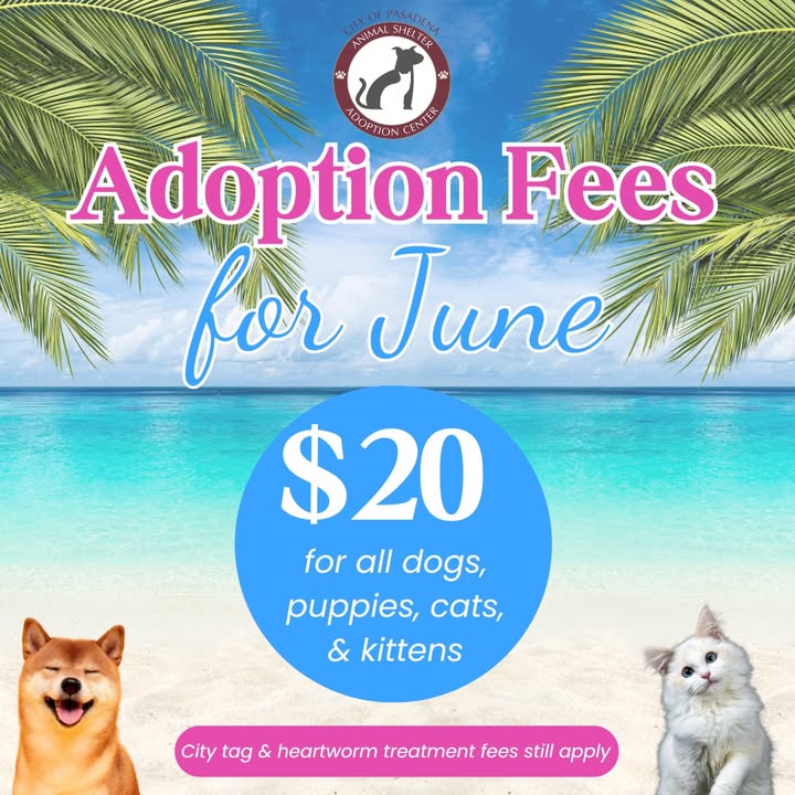 This month, get unforgettable memories by adopting a pet for just during National Pet Appreciation Week. This month, get unforgettable memories by adopting a pet for just during National Pet Appreciation Week.