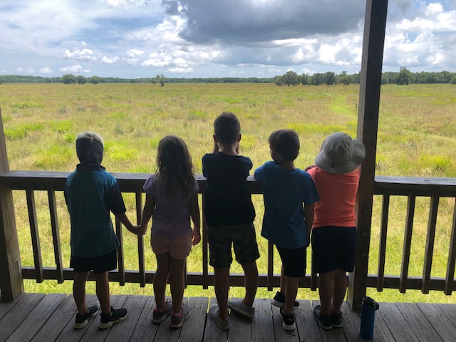 Join Armand Bayou for a summer of adventure at EcoCamps, where young explorers learn the wonders of wetlands, prairies, and reptiles. Join Armand Bayou for a summer of adventure at EcoCamps, where young explorers learn the wonders of wetlands, prairies, and reptiles.