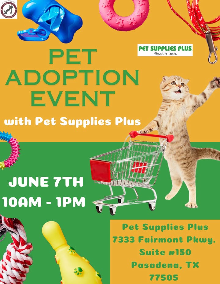 This Saturday it’s time for a day filled with the chance to make a furry friend forever from the Animal Shelter.