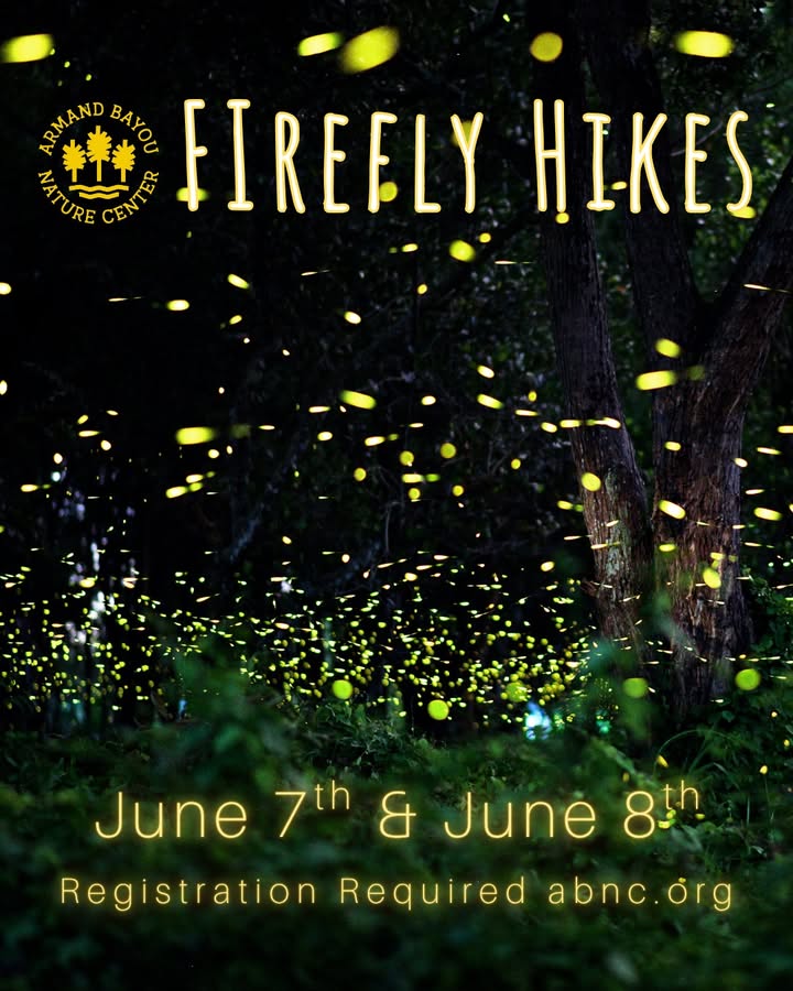 Get ready for a magical weekend because Armand Bayou added some extra firefly hikes. Get ready for a magical weekend because Armand Bayou added some extra firefly hikes.