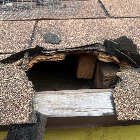 Constable Garcia teamed up with Mr. Robert at W.I.L.D. to rescue a raccoon family turning an attic into their home.
