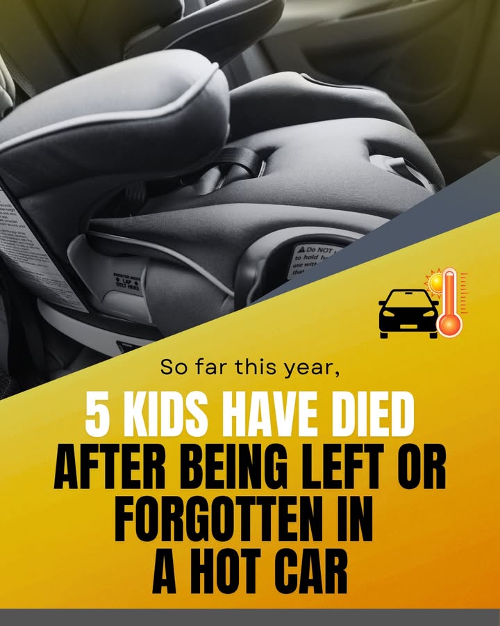 Important reminder from Precinct 8. Hot car deaths can happen in an instant.
