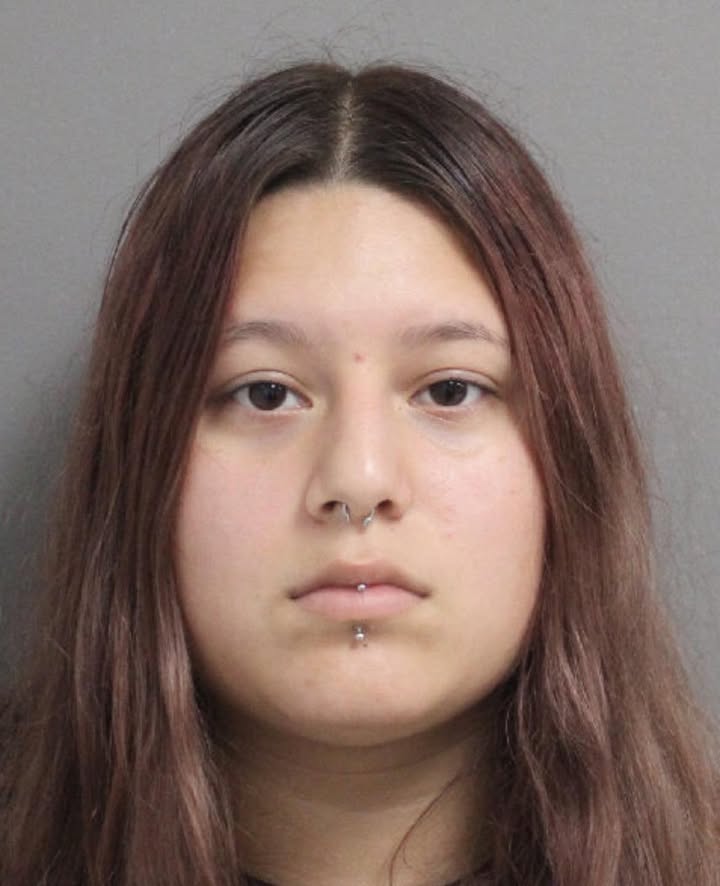 Precinct 2 Deputies locked up a seventeen year old 🤡 trying to swipe Target treasures in her handbag. Precinct 2 Deputies locked up a seventeen year old 🤡 trying to swipe Target treasures in her handbag.