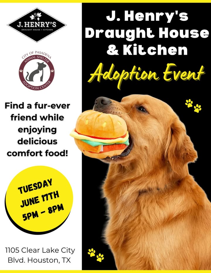 Tomorrow at J Henry’s Draught House + Kitchen, enjoy a night of food, refreshing drinks, and your new animal ready for adoption. Tomorrow at J Henry’s Draught House + Kitchen, enjoy a night of food, refreshing drinks, and your new animal ready for adoption.