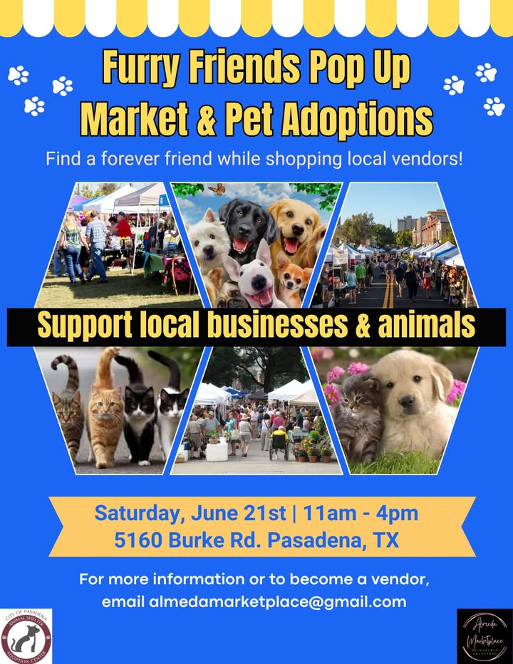 Get on up to the Animal Shelter this Saturday for a day of local shopping and discovering your next ride or die. Get on up to the Animal Shelter this Saturday for a day of local shopping and discovering your next ride or die.