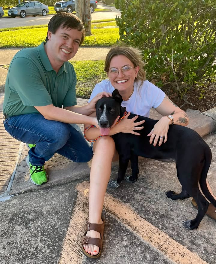 The Animal Shelter’s event at J. Henry’s Draught House found two dog news homes. Now’s your chance to keep the momentum going. The Animal Shelter’s event at J. Henry’s Draught House found two dog news homes. Now’s your chance to keep the momentum going.