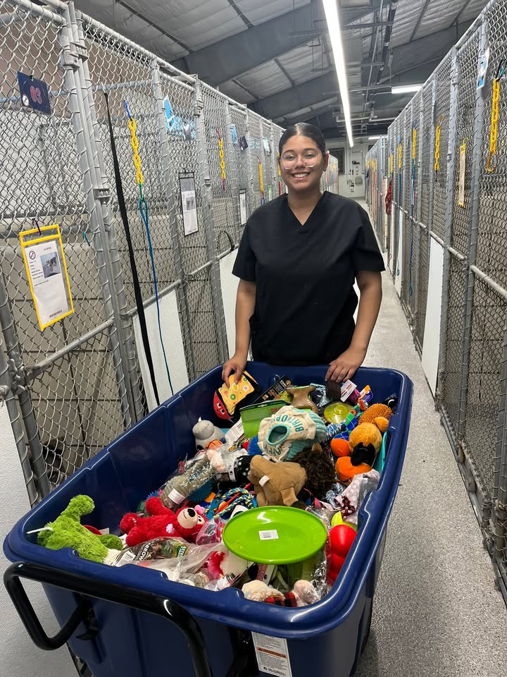 A bin full of toys and an awesome Animal Shelter volunteer, the pups are wagging their tails waiting on you to adopt one. A bin full of toys and an awesome Animal Shelter volunteer, the pups are wagging their tails waiting on you to adopt one.