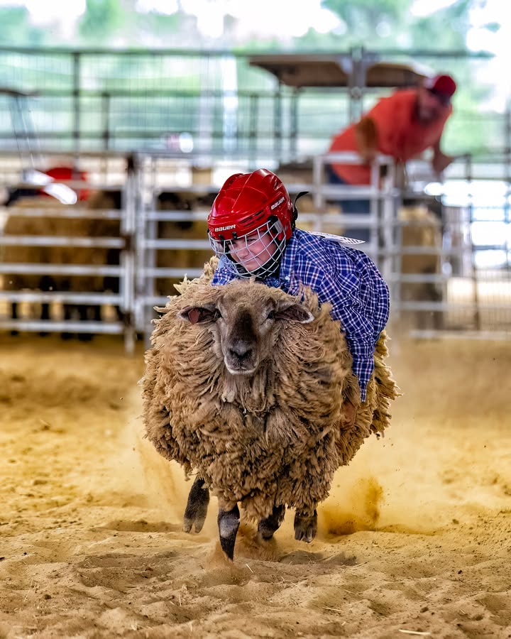 The Strawberry Festivals’s top ten picks from their photo challenge.