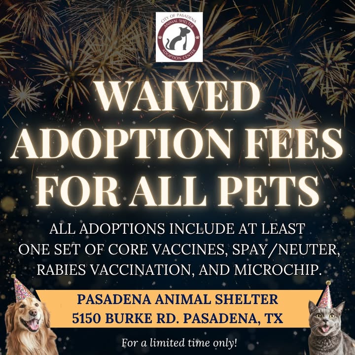 Celebrate saving an Animal Shelter animal’s life this season by adopting a furry friend for free, complete with all necessary vaccines and a microchip. Celebrate saving an Animal Shelter animal’s life this season by adopting a furry friend for free, complete with all necessary vaccines and a microchip.
