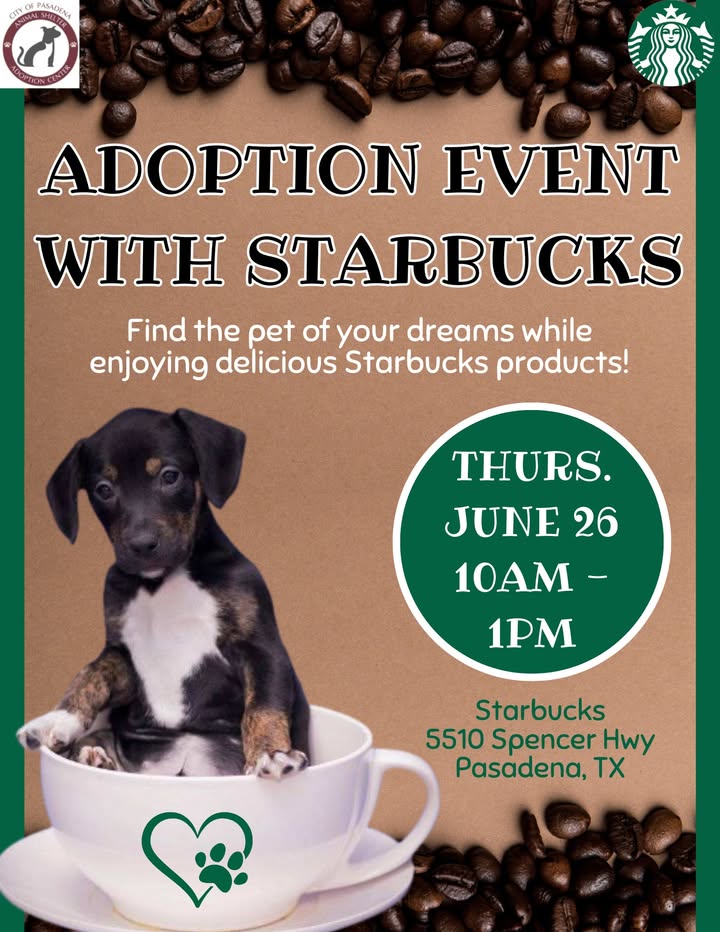 This Thursday is an Animal Shelter adoption event filled with great coffee and charming animals ready for your home. This Thursday is an Animal Shelter adoption event filled with great coffee and charming animals ready for your home.