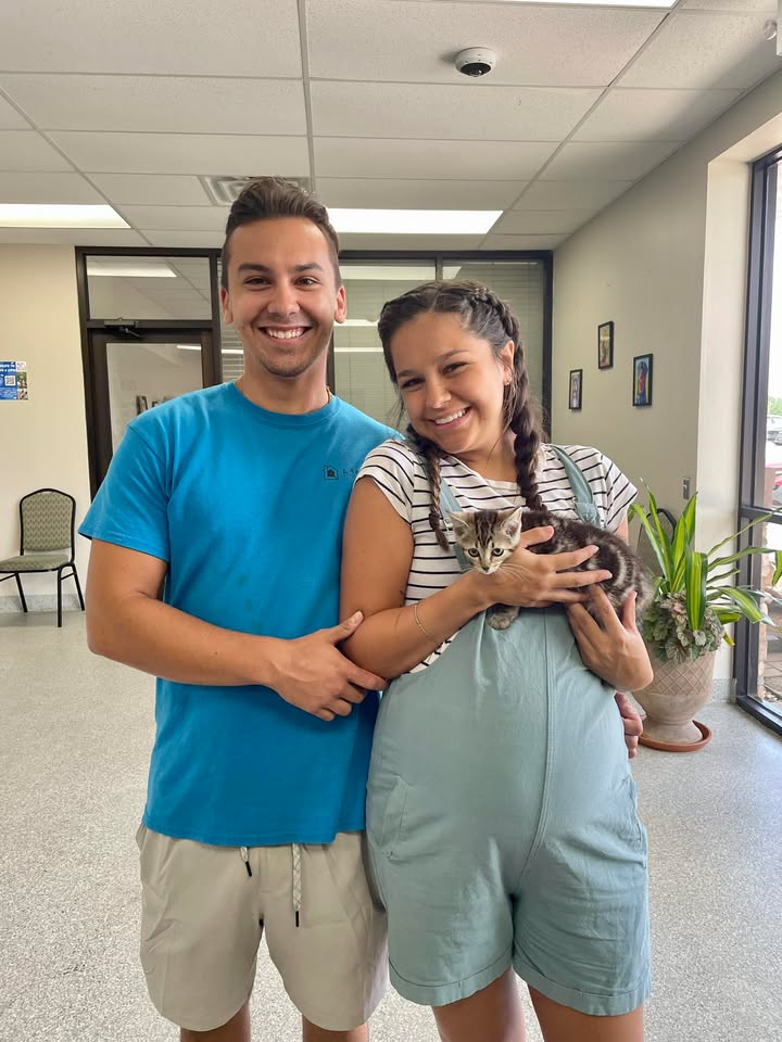 Goods news for a kitty kitten bounced from the Animal Shelter and landing into a growing family.
