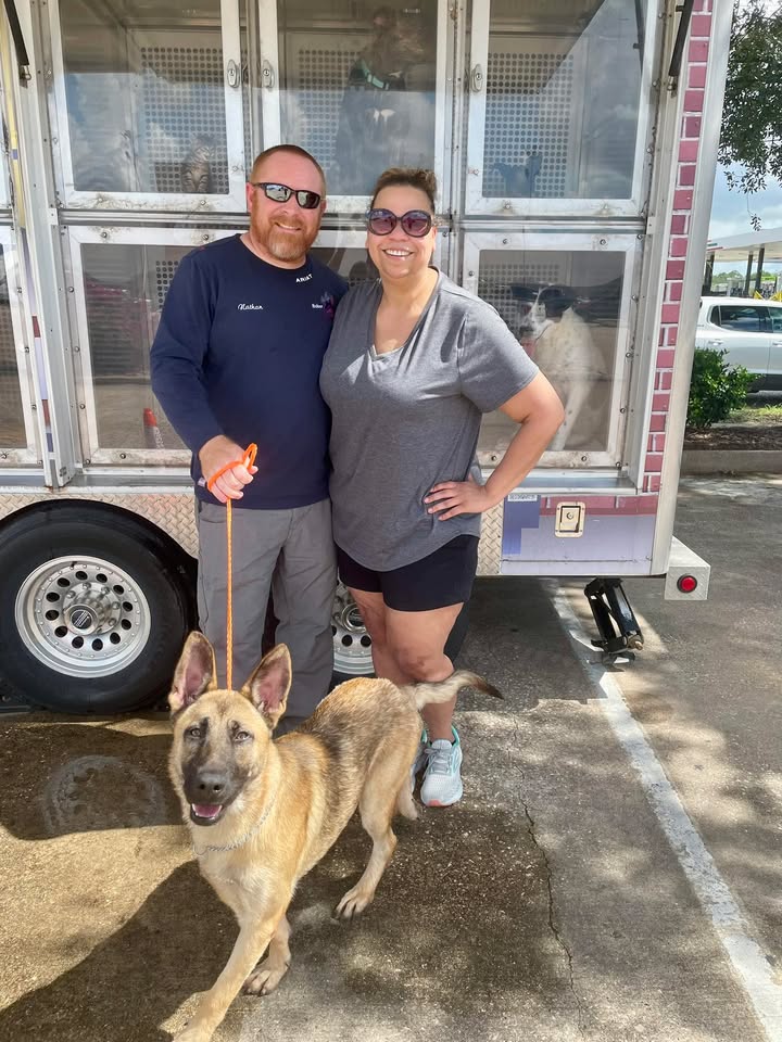 Good news at the Animal Shelter because Duke’s dream has come true, he’s been adopted thanks to his new family. Good news at the Animal Shelter because Duke’s dream has come true, he’s been adopted thanks to his new family.