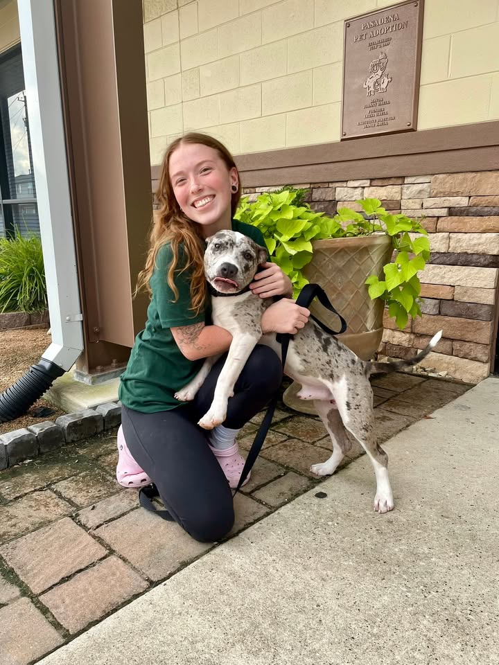 Madison’s decision to adopt Cream guarantees a lifetime of love and laughter. You can have love in your life too by adopting any Animal Shelter animal for free.