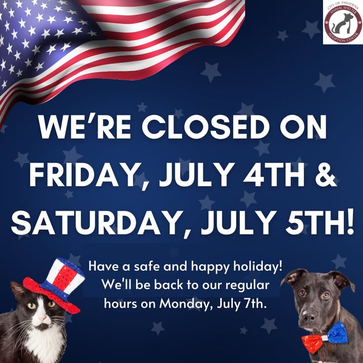 The Animal Shelter will be closed until Monday in observance of Independence Day. The Animal Shelter will be closed until Monday in observance of Independence Day.
