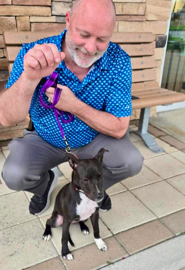 Lola May has officially found her forever home, thanks to her incredible new dad who rescued her.