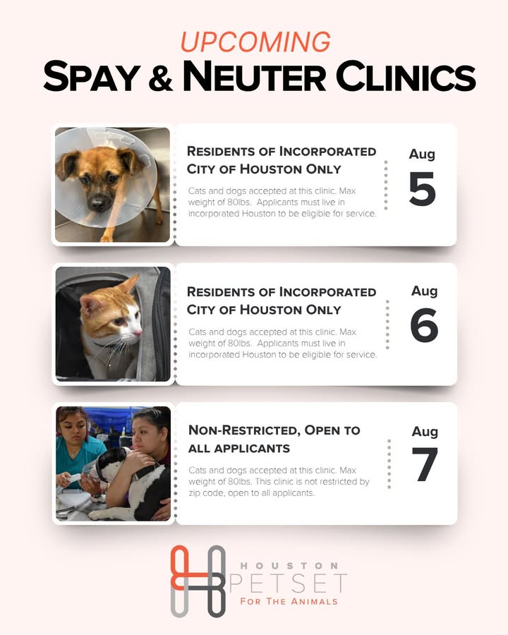 Sign up for the Animal Shelter’s mass spay and neuter clinic to shrink the amount of animals ending up on death row. Appointments are filling up fast. Sign up for the Animal Shelter’s mass spay and neuter clinic to shrink the amount of animals ending up on death row. Appointments are filling up fast.