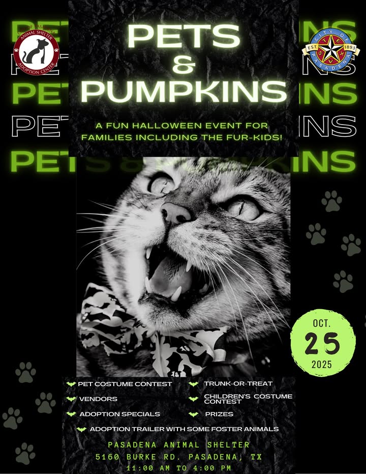 Vendors, it’s almost time sign up for the Animal Shelter’s Pets & Pumpkins event for fun and to support pet adoptions. Vendors, it’s almost time sign up for the Animal Shelter’s Pets & Pumpkins event for fun and to support pet adoptions.