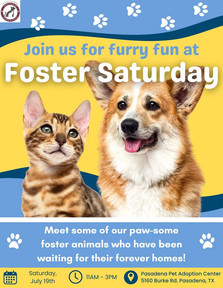 Find your ride or die at the Animal Shelter’s Foster Saturday, where you can meet pre-screened pets ready for your lap. Find your ride or die at the Animal Shelter’s Foster Saturday, where you can meet pre-screened pets ready for your lap.