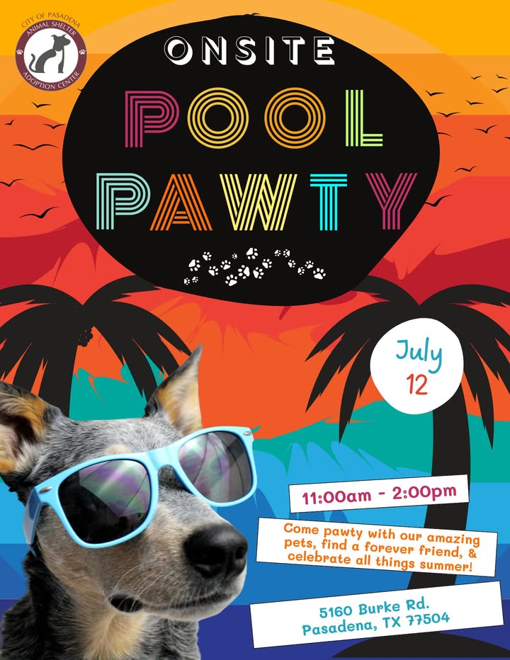 You’re invited to a Pool Pawty Saturday for some new friendships and to meet your new ride of die.