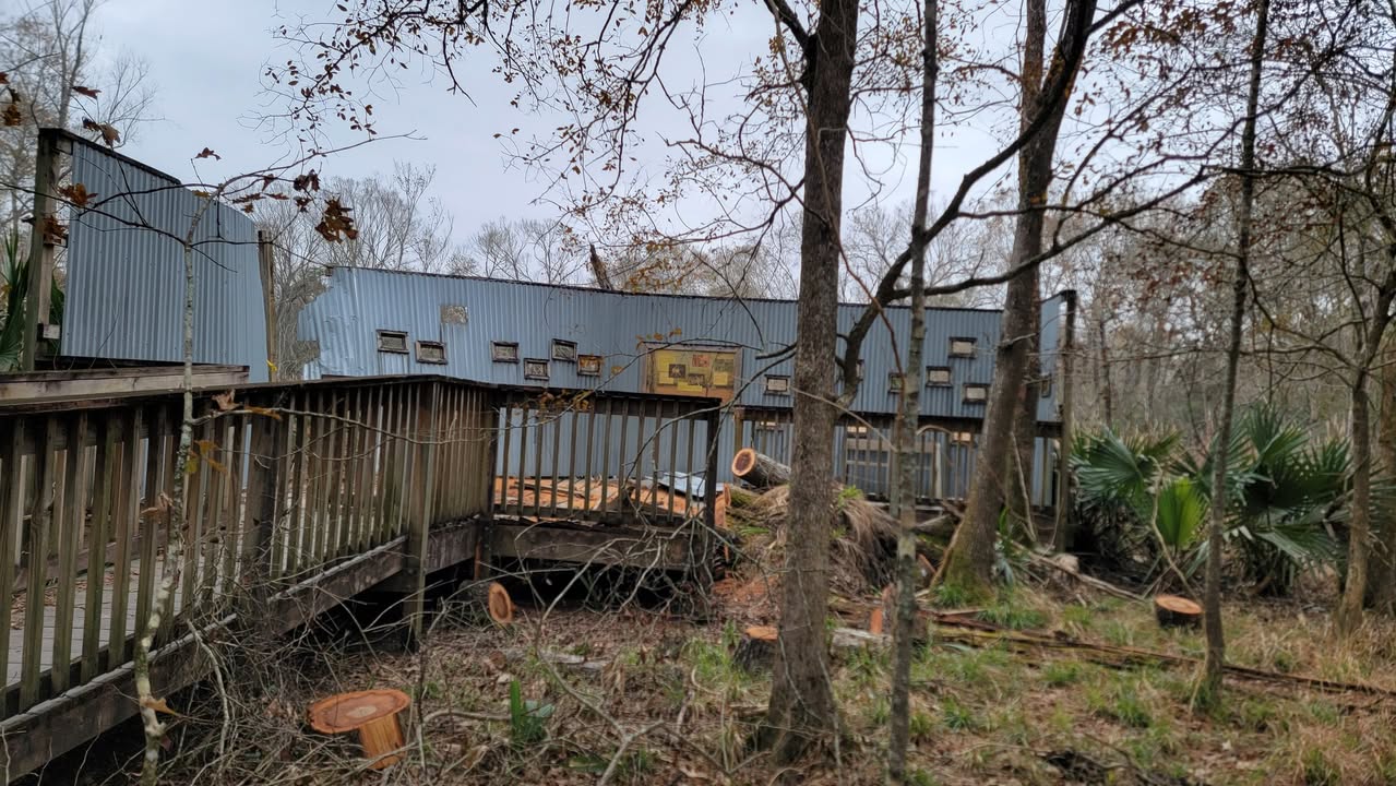 Exciting news for bird enthusiasts: Armand Bayou’s newly rebuilt bird blind is ready for action, thanks to generous donations and dedicated volunteers. Exciting news for bird enthusiasts: Armand Bayou’s newly rebuilt bird blind is ready for action, thanks to generous donations and dedicated volunteers.