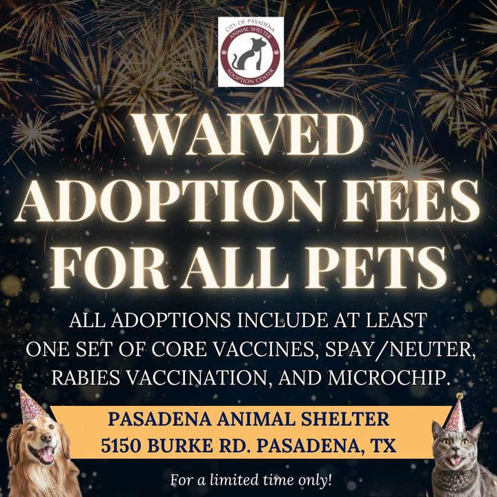 Win bigly at the Animal Shelter with a new furry friend plus waived adoption fees. Win bigly at the Animal Shelter with a new furry friend plus waived adoption fees.