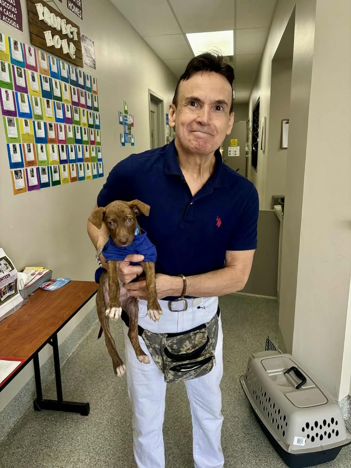Good news at the Animal Shelter, marking the start of a new journey with pup in tow. Good news at the Animal Shelter, marking the start of a new journey with pup in tow.