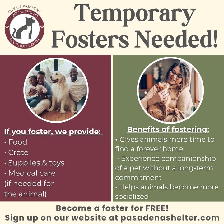 Become a temporary foster and provide a loving home for a week. Your support can make a lasting difference for a shelter pet. Become a temporary foster and provide a loving home for a week. Your support can make a lasting difference for a shelter pet.