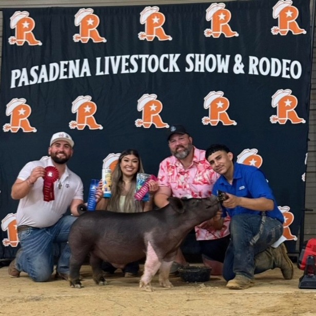 Rayburn’s FFA showcased a weekend of excitement, with students proudly presenting their pigs, goats, lambs, and cattle at the PLS&R’s Summer Prospect Show.