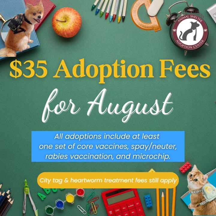 August adoption fees for a pup or kitten is only thirty five bucks at the Animal Shelter. August adoption fees for a pup or kitten is only thirty five bucks at the Animal Shelter.