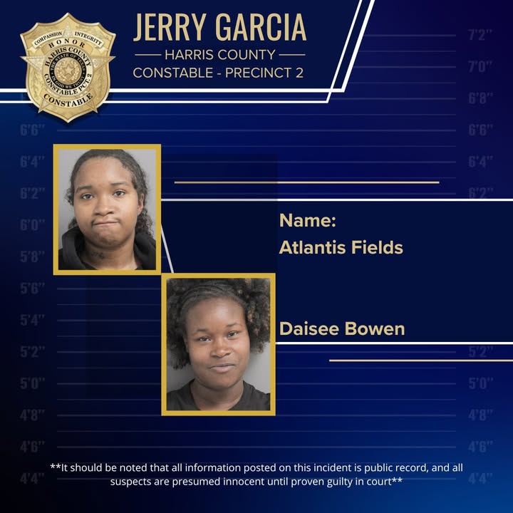 Two 🤡s thought they could outsmart store security but ended up in Precinct 2’s handcuffs instead.