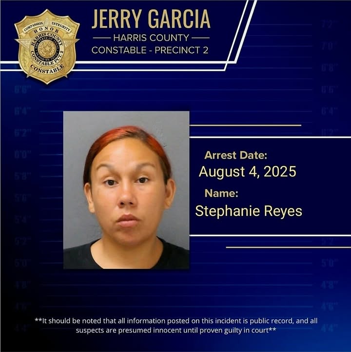 Precinct 2 Deputies arrested a 🤡 with a felony warrant while navigating a heated argument. Precinct 2 Deputies arrested a 🤡 with a felony warrant while navigating a heated argument.