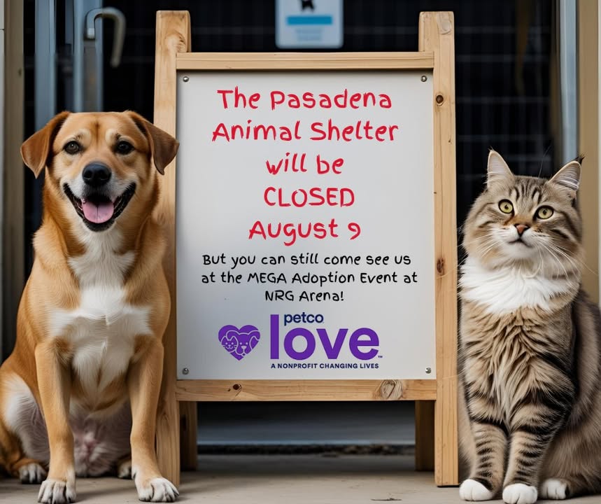 The Animal Shelter will be closed today for Petco Love’s Mega Adoption Event, so go find your new furry friend! The Animal Shelter will be closed today for Petco Love’s Mega Adoption Event, so go find your new furry friend!
