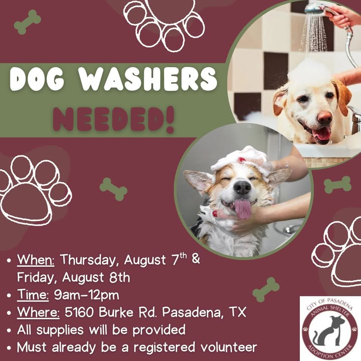 Help the Animal Shelter wash pups so they don’t stank at their debut at the Petco Love’s MEGA Adoption Event on Saturday.