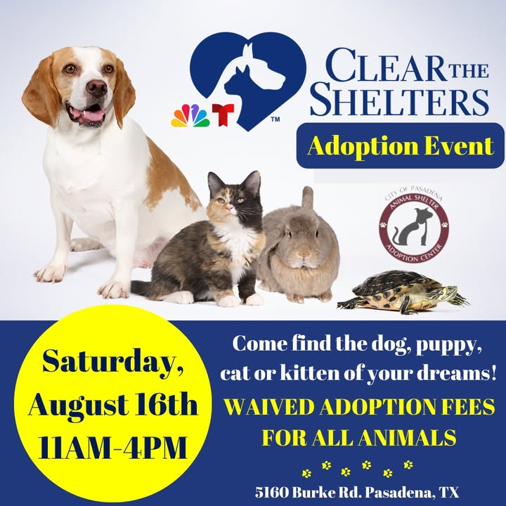 Today, adopt your ride or die for free at the Animal Shelter’s Clear The Shelters event.