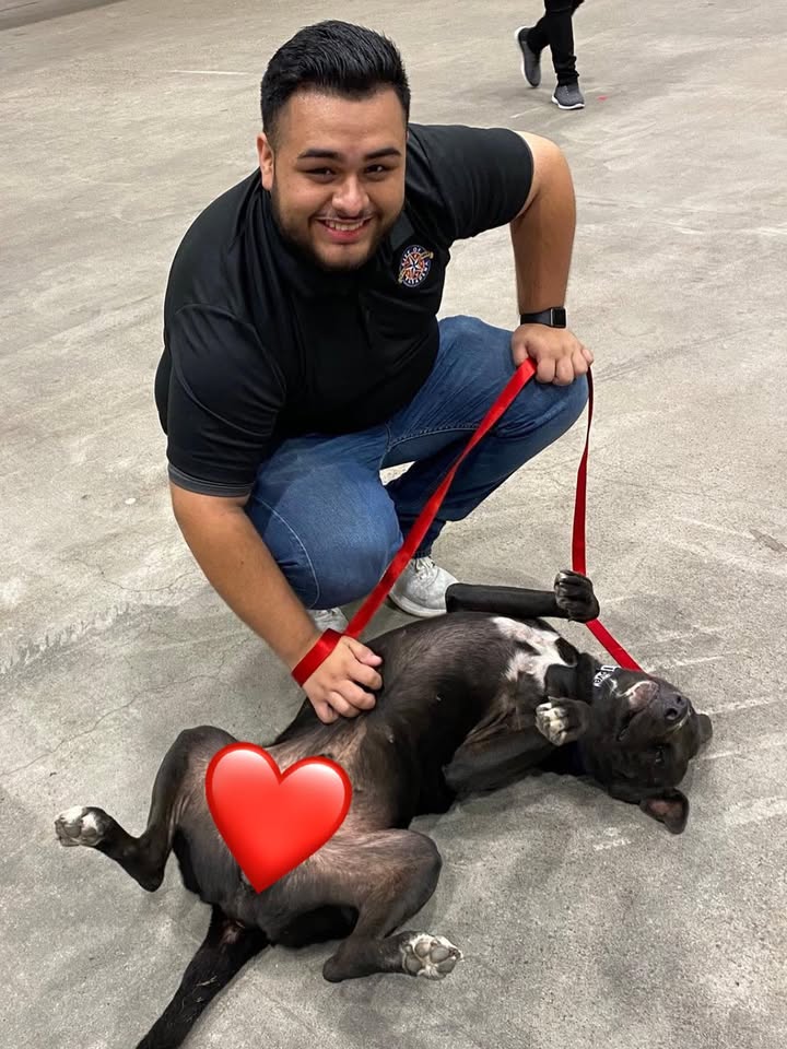 Prisoner Mr. Pepper is bursting with joy you’re on the way to adopt hims.